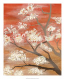 Mandarin Mist I