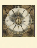 Rosette Detail I