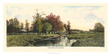 The Meadow Brook