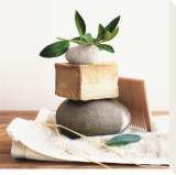 Pile with Olive Tree Branch