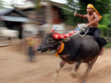 A Cambodian Boy Rides on His Buffalo Through a Village