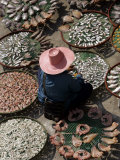 Buy A Thai Woman Sells Dried Fish in Bangkok, Thailand, January 26, 2007 at AllPosters.com