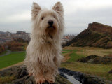 Filming the Adventures of Bobby, Edinburgh, November 2004