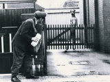 A Postman Hides Behind a Wall, Scared of a Great Dane Dog Leaning on the Fence of the House