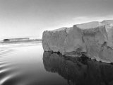 Buy Antarctica Iceberg in the Ocean 1950s at AllPosters.com