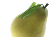 Buy Yellow Pear at AllPosters.com