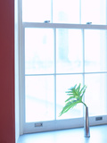 Buy Office at AllPosters.com
