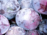 Buy Pile of Purple Cabbages at AllPosters.com