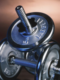 Buy Steel Dumbbells for Workout at AllPosters.com