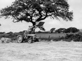 Buy Harvesting with an International Cutter by a Massey-Fergusson 35 Tractor Fitted with a Mill Loader at AllPosters.com