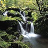 Buy A Cascading Waterfall at AllPosters.com