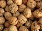 Buy Walnuts at AllPosters.com