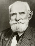 Buy Ivan Petrovich Pavlov Russian Physiologist at AllPosters.com