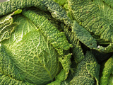 Buy Heads of Lettuce at AllPosters.com