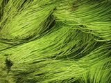 Textured Background