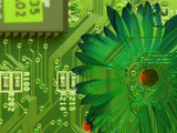 Computer Board with Flower
