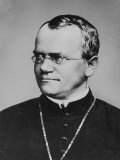Buy Gregor Johann Mendel Austrian Botanist at AllPosters.com