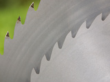 Pair of Circular Saw Blades