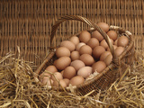 Buy Basket of Eggs at AllPosters.com