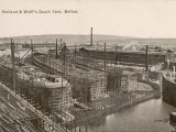 The South Yard of Harland and Wolff's Shipyards Belfast