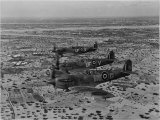 Formation of Spitfires Over North Africa, circa 1943 Premium Poster