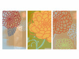 Mums Triptych