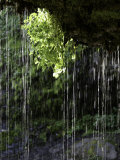 Dripping Water at Grotto Falls, Montana