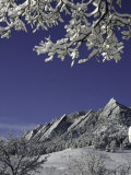 Buy Winterscene of the Flatirons in Boulder, Colorado at AllPosters.com