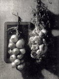 Buy Still Life Study at AllPosters.com