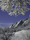 Buy Winterscene of the Flatirons in Boulder, Colorado at AllPosters.com