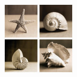 Sea Shells Four Patch