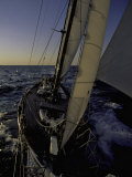 Buy Sailing at Sunset, Ticonderoga Race at AllPosters.com