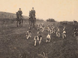 Fox Hunting in the Roman Countryside
