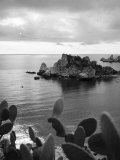 Beautiful Island