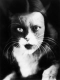Me and Cat', Two Superimposed Photos of Wanda Wulz and of Her Cat