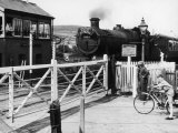 The Cambrian Coast Express Steam Locomotive Train at Llanbadarn Crossing Near Aberystwyth Wales