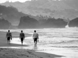 Buy Surf's Up II at AllPosters.com