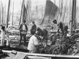Buy Fishermen Overhaul the Nets on Their Boats at Scarborough Yorkshire at AllPosters.com