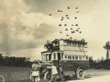 WWI: Soldiers Setting Free Some Carrier Pigeons, Northern France