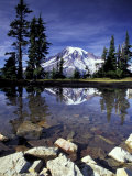 Mt. Rainier Reflected in Tarn, Mt. Rainier National Park, Washington, USA