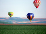 Buy Colorful Hot Air Balloons Float over a Wheat Field in Walla Walla, Washington, USA at AllPosters.com