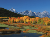 Buy Mt. Moren, Oxbow Bend, Grand Tetons National Park, Wyoming, USA at AllPosters.com