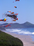 Kites Flying on the Oregon Coast, USA