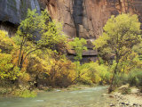 Buy Virgin River in the Upper Zion Region, Zion National Park, Utah, USA at AllPosters.com