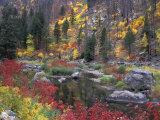 Wenatchee River and Fall Color, Tumwater Canyon, Washington, USA