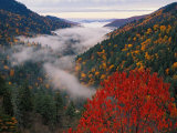 Autumn View of Fog from Morton Overlook, Great Smoky Mountains National Park, Tennessee, USA