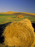 Buy Hay Bales in Field, Palouse, Washington, USA at AllPosters.com