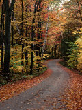 Country Road, Vermont, USA