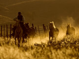 Ranch Living at The Ponderosa Ranch, Seneca, Oregon, USA