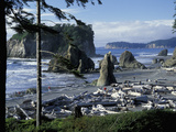 Ruby Beach, Olympic National Park, Washington, USA